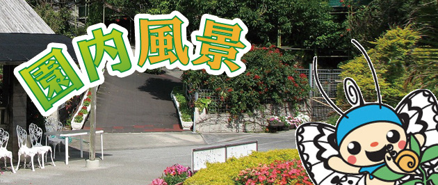 園内風景