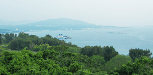 沖縄風景