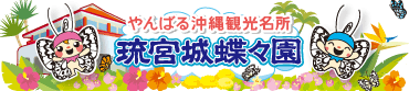 沖縄土産・やんばるの特産品なら蝶々園直営オンラインショップへ